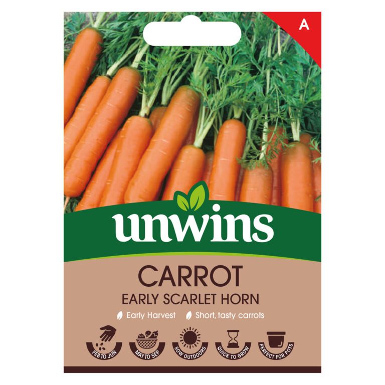 5051618005852 1 Carrot Early Scarlet Horn Seeds.jpg